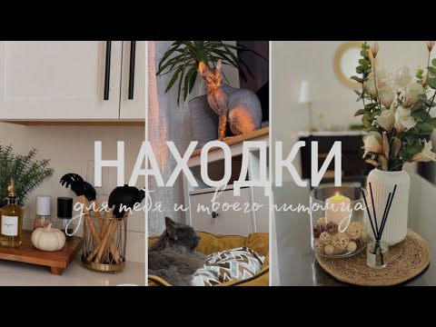 Видео: ПОКУПКИ ДЛЯ ДОМА | ДЛЯ ТЕБЯ И ТВОЕГО ПИТОМЦА | уют, тепло, полезности