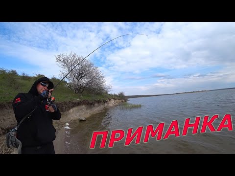 Видео: РАЗДАЧА ОКУНЯ НА  ЭТУ ОСНАСТКУ..РЫБАЛКА НА СПИННИНГ 2021