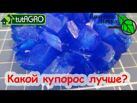 Видео: Закупаем КУПОРОС! Какой купорос лучше? Медный VS железный!  Правила использования купороса.