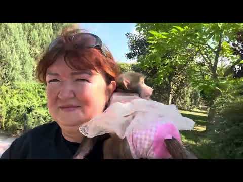 Видео: Я забираю Анфису покататься чтобы Финик расслабился, но она все равно бежит к Владу)))