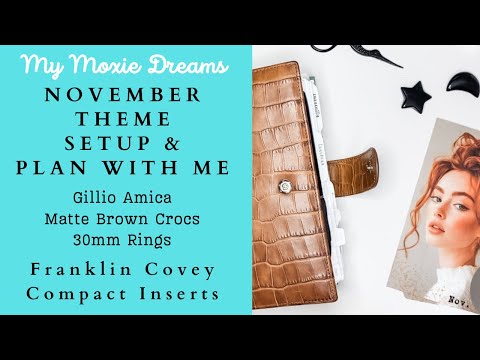Видео: НОЯБРЬСКАЯ ТЕМАТИЧЕСКАЯ НАСТРОЙКА | МАТОВЫЙ КОРИЧНЕВЫЙ CROCO AMICA | FC Compact | ПЛАНЕР 2025 | П...
