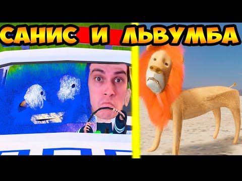 Видео: САНИС И ЛЬВУМБА !