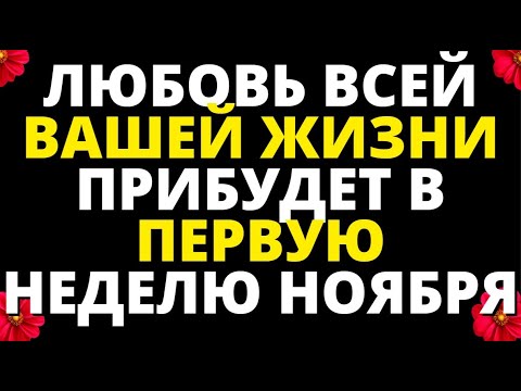 Видео: ЛЮБОВЬ ВСЕЙ ВАШЕЙ ЖИЗНИ ПРИБУДЕТ В ПЕРВУЮ НЕДЕЛЮ НОЯБРЯ