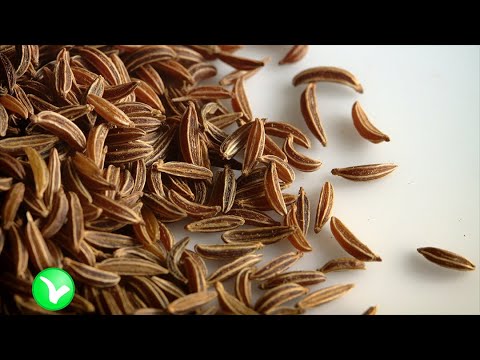 Видео: Приправа ЗИРА – что это такое и зачем она нужна. Польза и вред зиры.