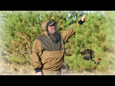 Видео: Клещ не дремлет! Но! У нас есть противоэнцефалитный костюм CARIBOU S06 Anti Mite.