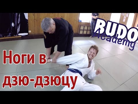 Видео: Техника ног в дзю дзюцу. Александр Грачев