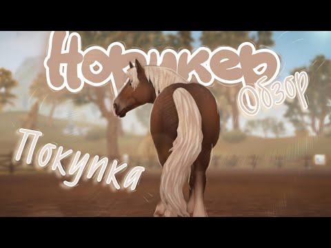 Видео: |~Покупка норикера~|Обзор|