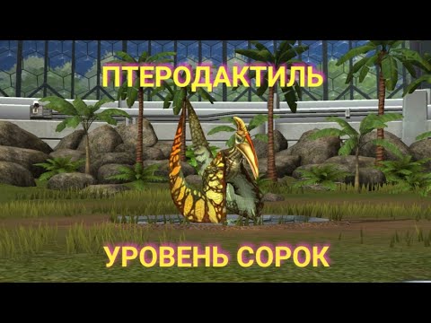 Видео: ПТЕРОДАКТИЛЬ СОРОКОВОГО УРОВНЯ, ОСТАПОЗАВРЫ И ЗУХОРИПТЭРЫ