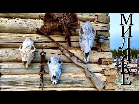 Видео: МИЛЯКЕ