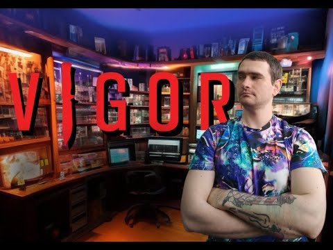 Видео: Бесплатный DayZ и мини Тарков - VIGOR