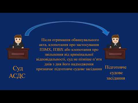 Видео: Підготовче провадження