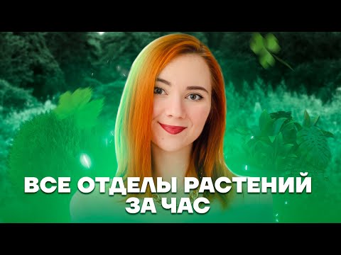 Видео: Все отделы растений за час | Биология ЕГЭ 2023 | Умскул