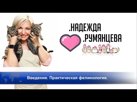 Видео: Cats+ Надежда Румянцева: Введение. Практическая фелинология.