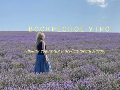 Видео: Воскресное утро. Уровни сознания и особенности магов.