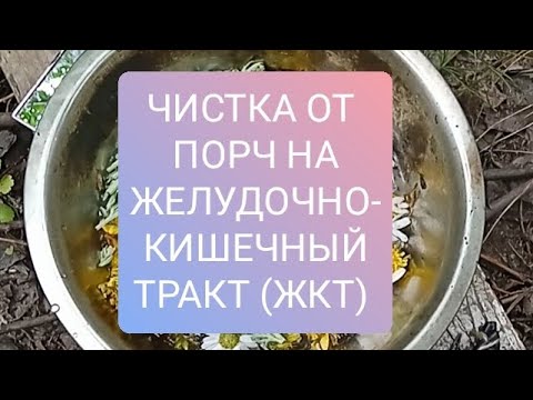 Видео: ЧИСТКА ОТ ПОРЧ НА ЖЕЛУДОЧНО-КИШЕЧНЫЙ ТРАКТ (ЖКТ)