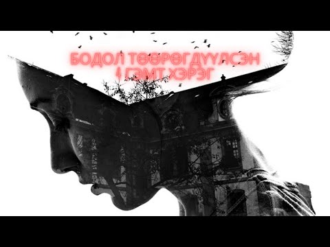 Видео: Бодол төөрөгдүүлсэн 4 гэмт хэрэг/Bolson yavdal