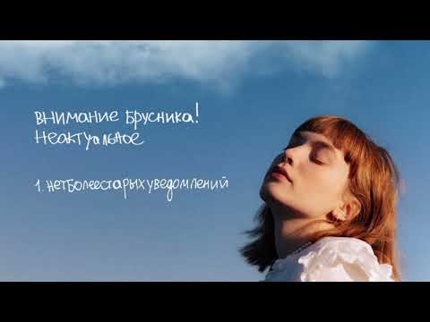 Видео: внимание брусника! – нетболеестарыхуведомлений