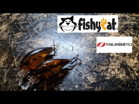 Видео: TSURIBITO! FISHYCAT! - воблеры из моей коробки!