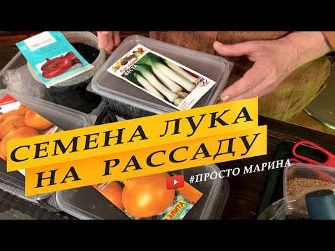 Видео: Посев семян лука на рассаду.