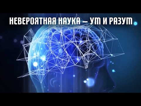 Видео: Невероятная наука —  Ум и разум (22й выпуск)