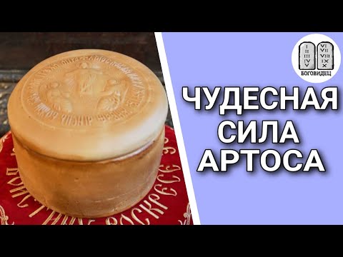 Видео: Чудесная сила Артоса. Максим Какскун