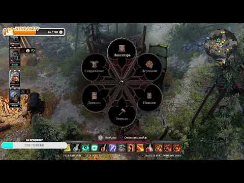 Видео: Divinity: Original Sin II | Сумасшедший маг - воришка недопаладин и два трупа — это наша партия!