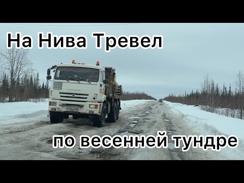 Видео: На Нива Тревел по весенней тундре | 14 мая 2024