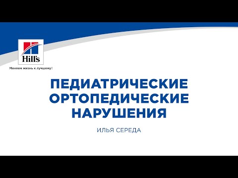 Видео: Вебинар на тему: "Педиатрические ортопедические нарушения у собак и кошек". Лектор - Илья Середа.