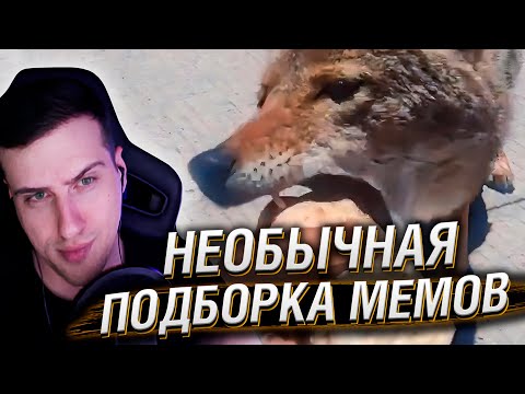 Видео: НЕОБЫЧНАЯ ПОДБОРКА МЕМОВ V275 | Реакция HellYeahPlay