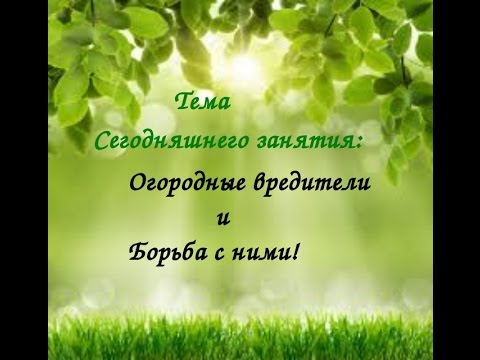 Видео: ВРЕДИТЕЛИ и БОРЬБА С НИМИ В ПРИРОДНОМ ЗЕМЛЕДЕЛИИ! Урок № 3