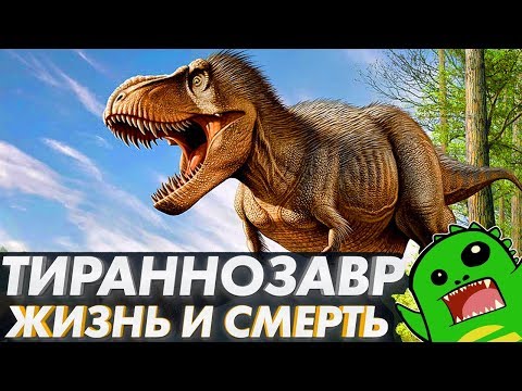 Видео: ТИРАННОЗАВР — от рождения до смерти