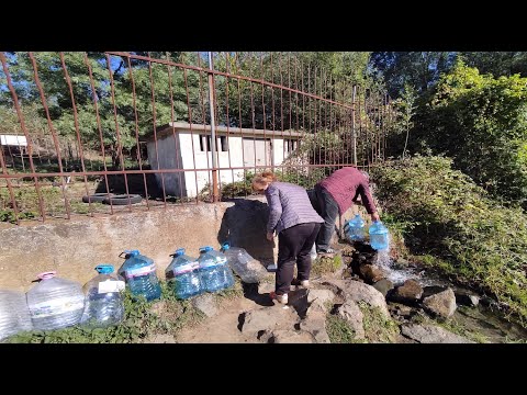 Видео: Медово - минерален извор/Извор в района на с. Медово 2024