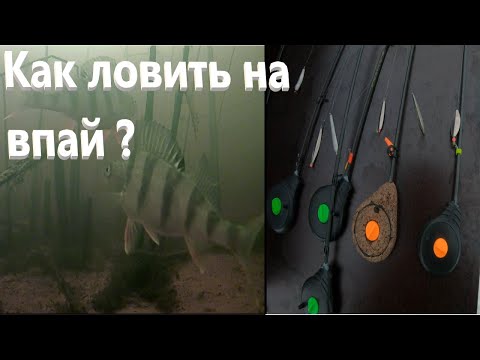 Видео: Ловля окуня зимой на зимнюю блесну со впаянным крючком . Подводные съёмки окуня зимой. Focus fish.