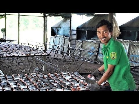 Видео: Копчение рыбы