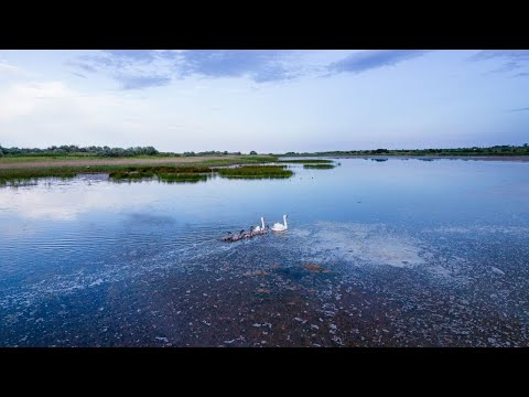 Видео: Езерото с душа на север от Варна