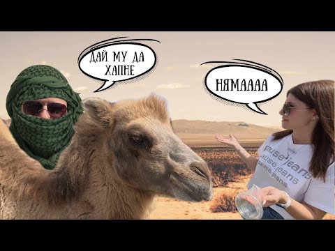 Видео: НЕВЕРОЯТНА ИСТОРИЯ и СЪРДИТИ ЩРАУСИ | Travel влог част 2