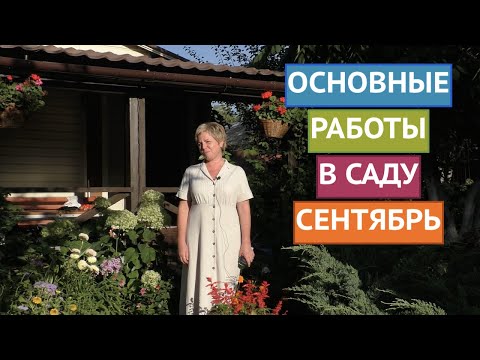 Видео: ГЛАВНЫЕ РАБОТЫ В САДУ И ОГОРОДЕ В СЕНТЯБРЕ!