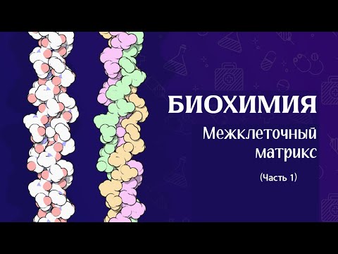 Видео: Межклеточный матрикс | Биохимия часть 1