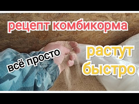 Видео: Рецепт комбикорма  проверенный временем. Откормочники растут быстро не в жирной массе