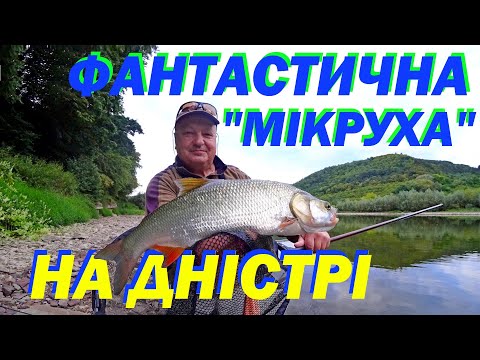 Видео: Трофейний мікроджиг в великій гірській річці. Приманки та монтажі, окуні та біла, каміння та течія.