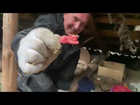 Видео: Копаем 10 старых чердаков. Что сможем найти?!