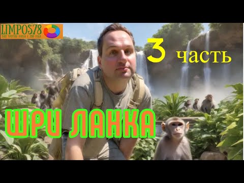 Видео: 3 часть. Шри Ланка в 2024 году, в сентябре.  Устроили фотосессию. Едем на экскурсию.