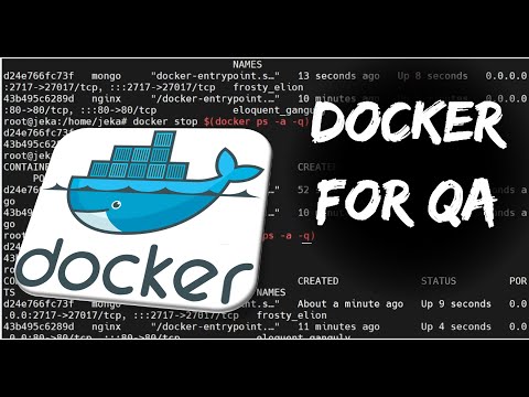 Видео: Основы Docker для тестировщиков. Docker for QA