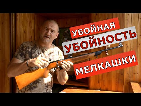 Видео: Убойная УБОЙНОСТЬ "мелкашки"! Охота с 22 LR от мышки до мишки! Кто охотится с "мелканом" ???