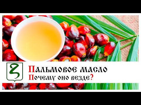 Видео: ПАЛЬМОВОЕ МАСЛО/ПОЧЕМУ ОНО ВЕЗДЕ?