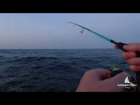 Видео: Ставрида когда ловить. Рыбалка на ставриду в черном море. Самодур на ставриду. #море #fishing #отдых