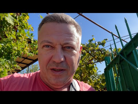 Видео: купили немного полезностей в дом на Юге пока ОН ПРОСЫХАЛ