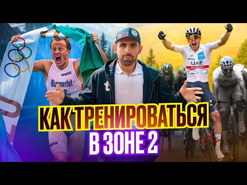 Видео: Секрет выносливости: почему элита тренируется во 2-й зоне