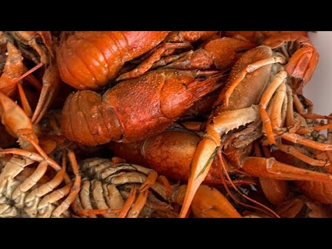 Видео: Прямая трансляция Stop Fanera