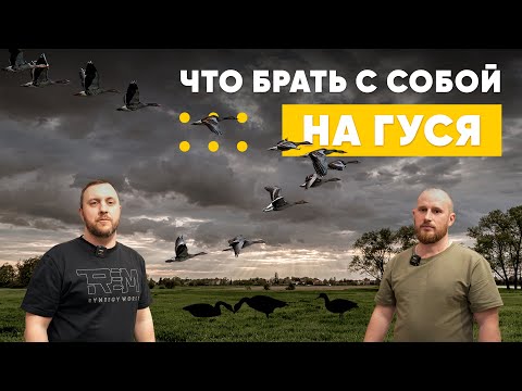 Видео: ТО ЧТО ТЕБЕ ПОТРЕБУЕТСЯ ПРИ ОХОТЕ НА ГУСЯ